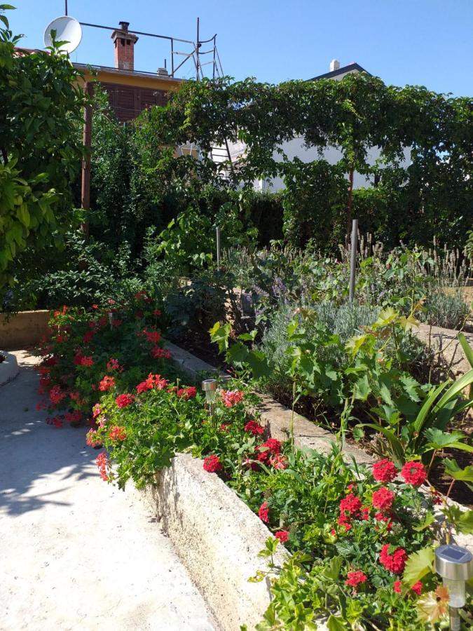 Apartments Jelicic Biograd Na Moru Luaran gambar