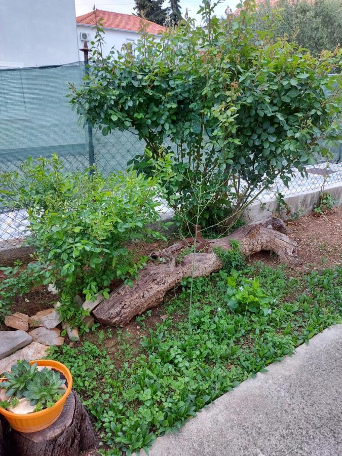 Apartments Jelicic Biograd Na Moru Luaran gambar