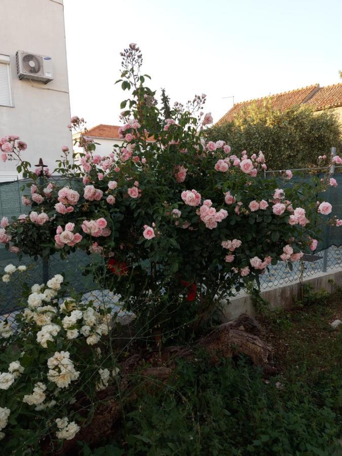 Apartments Jelicic Biograd Na Moru Luaran gambar