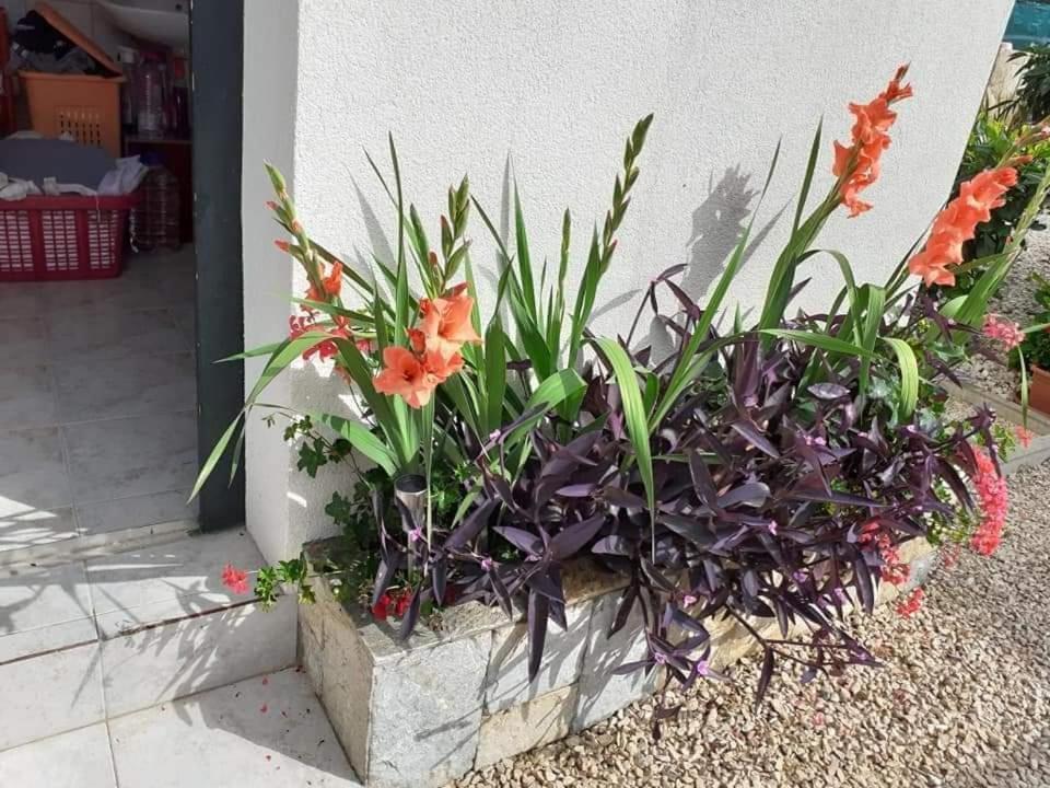 Apartments Jelicic Biograd Na Moru Luaran gambar