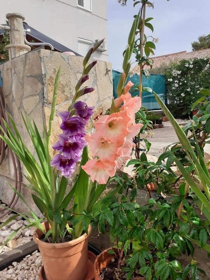 Apartments Jelicic Biograd Na Moru Luaran gambar