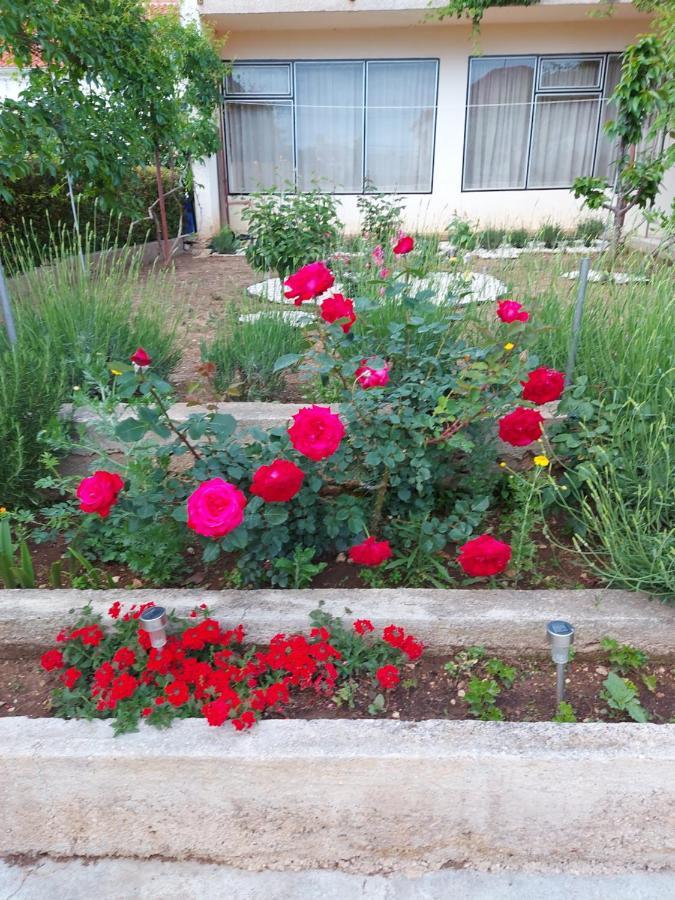 Apartments Jelicic Biograd Na Moru Luaran gambar
