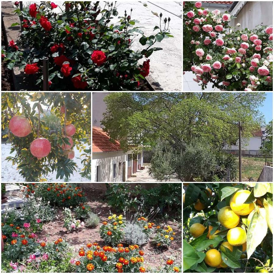 Apartments Jelicic Biograd Na Moru Luaran gambar